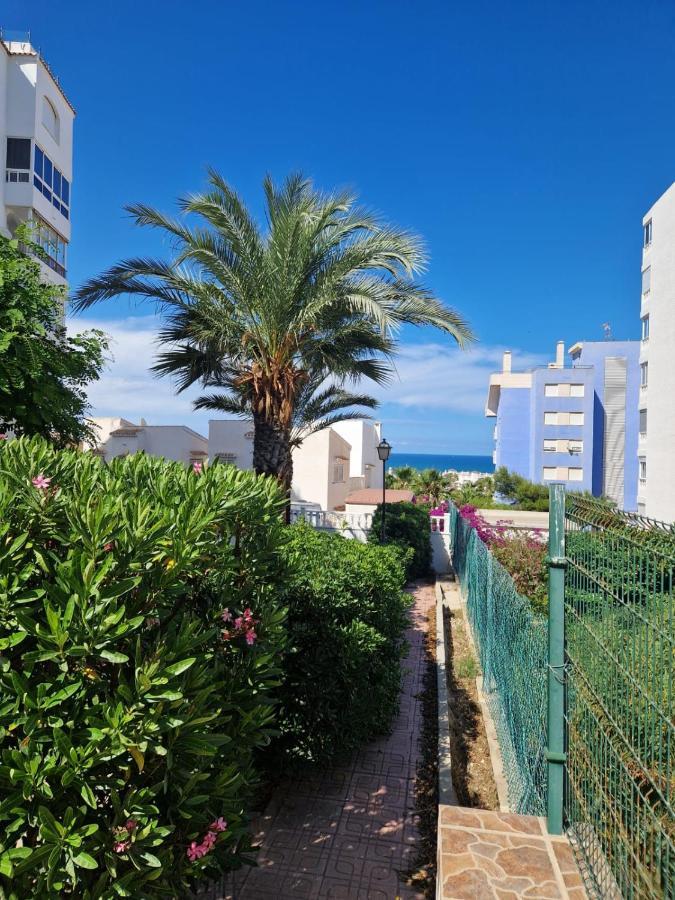 Lux Studio Torrevieja Eksteriør bilde